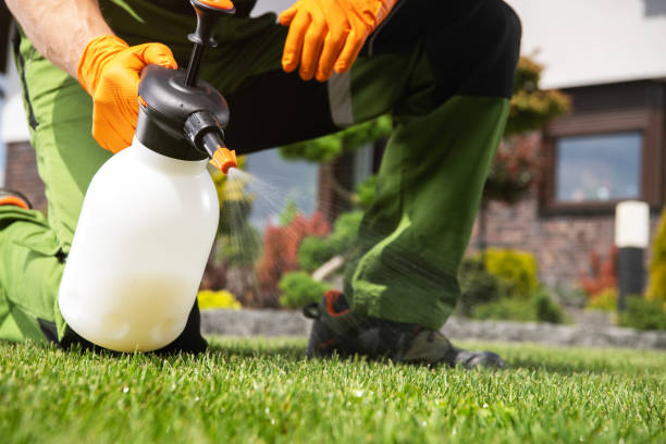 Professional Pest Control in Yorktown, TX