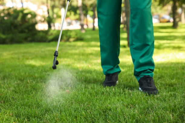 Best Wasp Removal Services  in Yorktown, TX