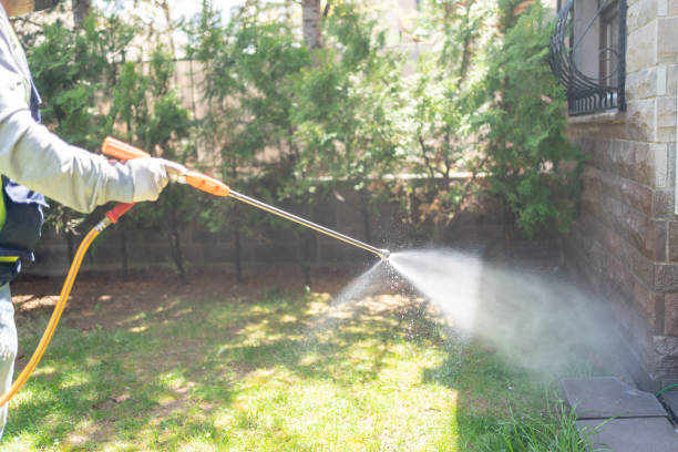 Best Best Pest Control Companies  in Yorktown, TX