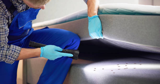Best Cockroach Control Services  in Yorktown, TX