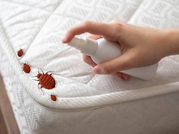Best Commercial Pest Control Services  in Yorktown, TX