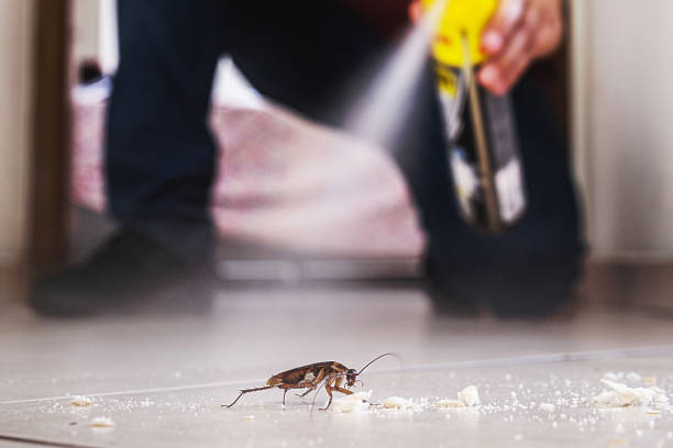 Best Exterminator Services  in Yorktown, TX
