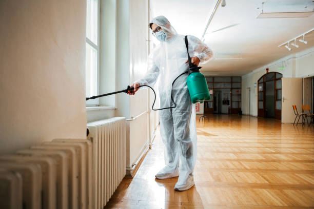 Best Rat Extermination Near Me  in Yorktown, TX